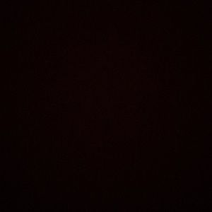 Meet your Posher, Tim